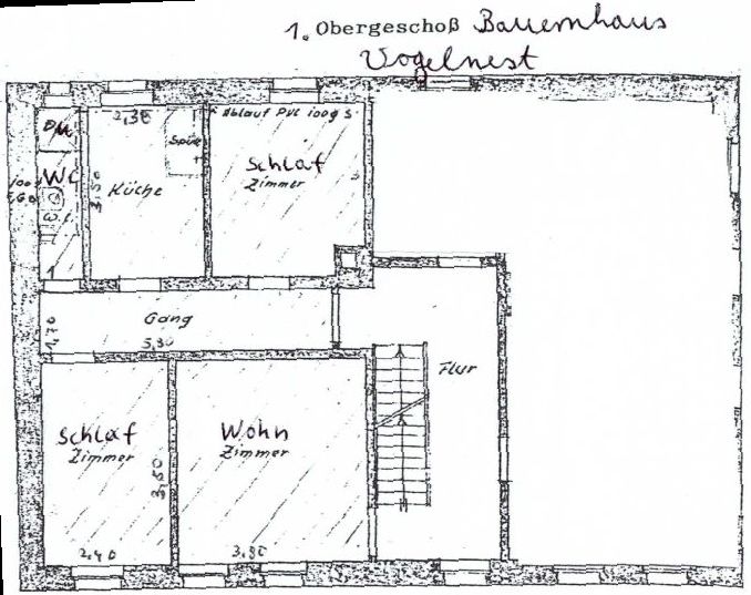 Wohnung Vogelnest: Grundrissplan